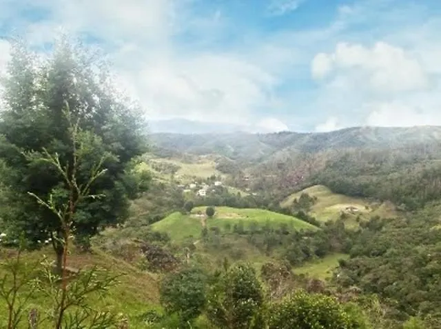 Hospedaje Rural Misia Emilia 메딜린 0*,  콜롬비아